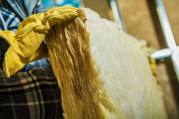 Best Professional Insulation Contractor  in Cinco Ranch, TX