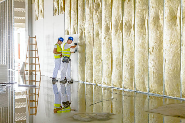 Best Insulation Contractor Near Me  in Cinco Ranch, TX